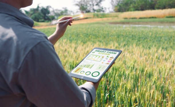 Farmer using tablet in field